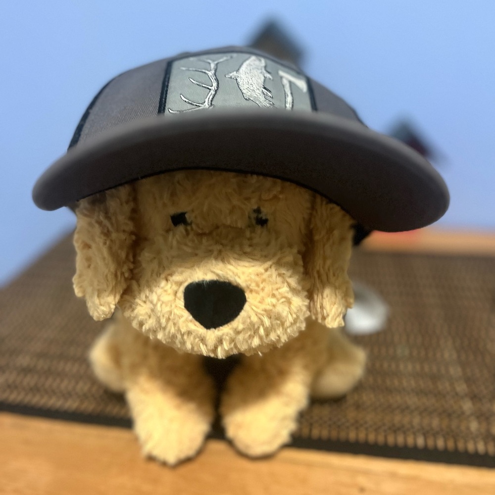 RepYourWild Black and Gray Cap